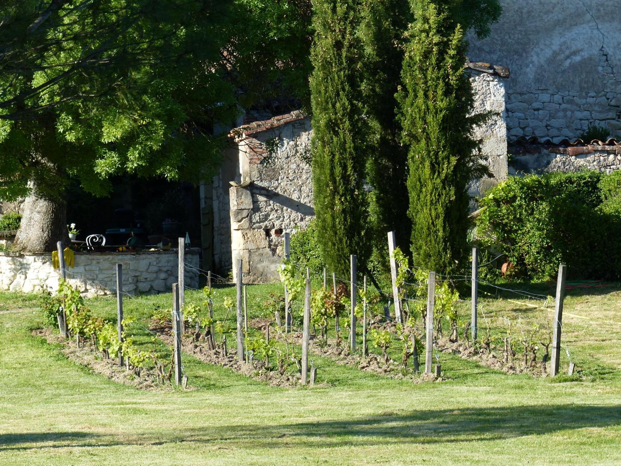 Domaine De La Monestarie - Teritoria Hotell Bernac  Exteriör bild