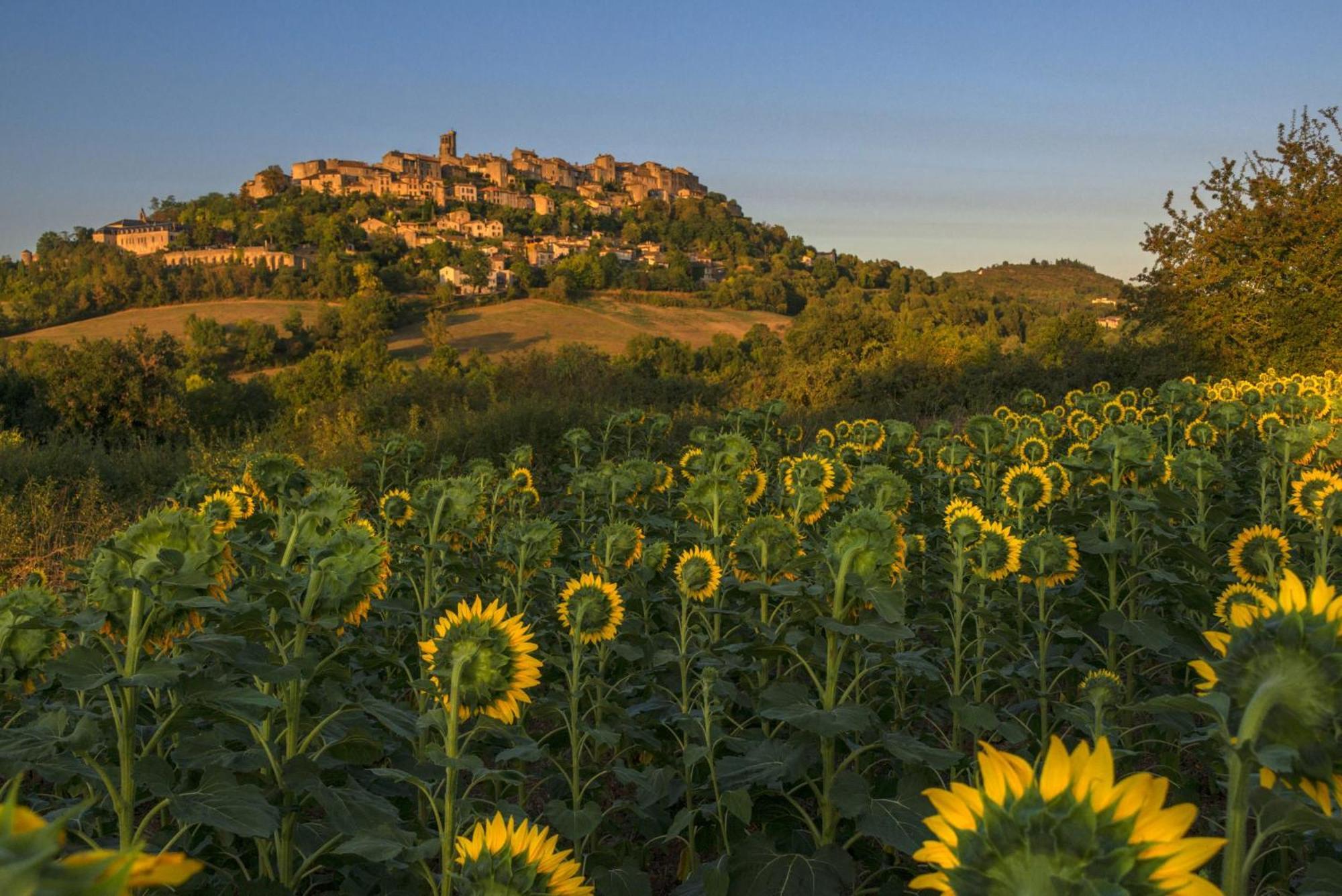 Domaine De La Monestarie - Teritoria Hotell Bernac  Exteriör bild